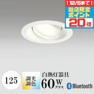 y|Cg20{5܂ŁIz_ECg J125 EF M60W zCg Bluetooth HKv SB^(C fMޑΉ^) z114° gU tbg`LED