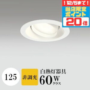 y|Cg20{5܂ŁIz_ECg J125 dF(2700K) M60W zCg HKv SB^(C fMޑΉ^) z114° gU tbg`LED