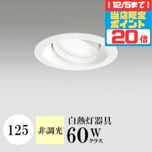 y|Cg20{5܂ŁIz_ECg J125 F(3500K) M60W zCg HKv SB^(C fMޑΉ^) z114° gU tbg`LED