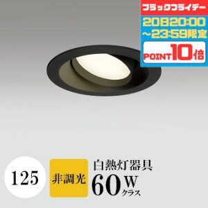 y2020:00`23:59|Cg10{z_ECg J125 dF(2700K) M60W ubN HKv SB^(C fMޑΉ^) z114° gU tbg`LED