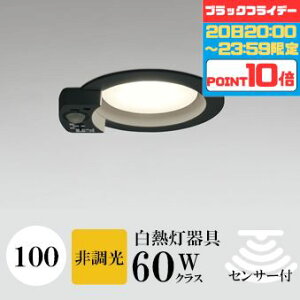 y2020:00`23:59|Cg10{z_ECg J100 dF(2700K) M60W ubN HKv SB^(C fMޑΉ^) z112° gU tbg`LED