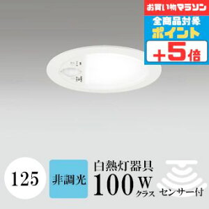 y1_tf[|Cg3{z_ECg J125 F(5000K) M100W zCg HKv SB^(C fMޑΉ^) z100° gU gCp CA\