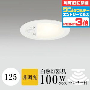 y1_tf[|Cg3{z_ECg J125 dF(2700K) M100W zCg HKv SB^(C fMޑΉ^) z100° gU gCp CA\