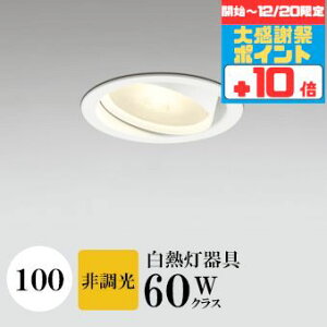 �y�労�Ӎ� �`20���܂Ń|�C���g10�{�z�_�E�����C�g �J��100�� ���j�o�[�T���_�E�� �w��̊p�x�܂ŌX�ΓV��� ���M��60W���� �d���F�i2700K) ���ω΍\��