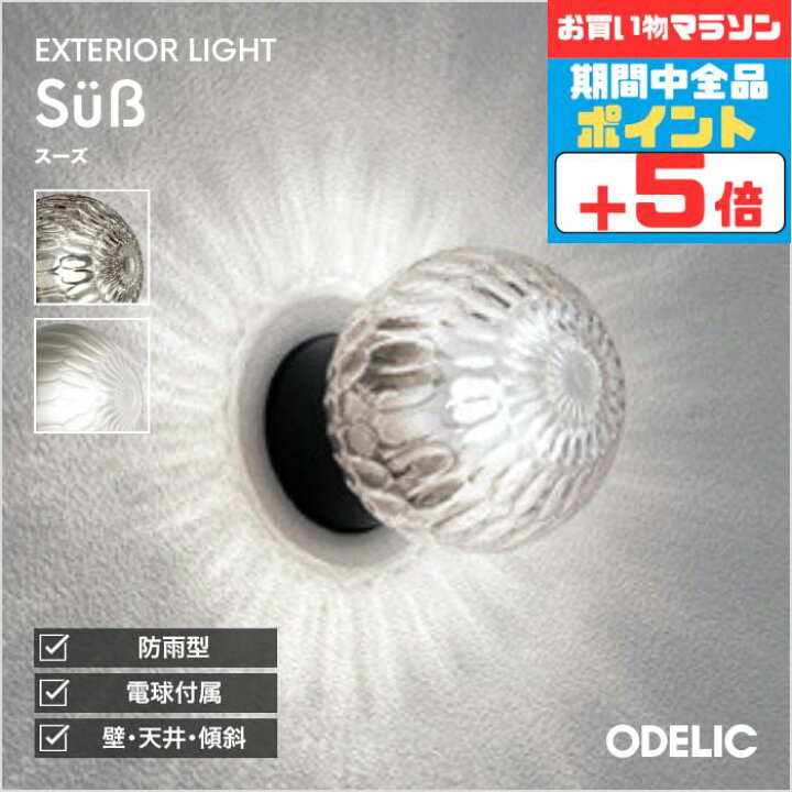 【5日限定5%OFFクーポン】ブラケットライト 洋風 屋内屋外兼用 天井面・傾斜面取付可 昼白色(5000K) ※工事必要