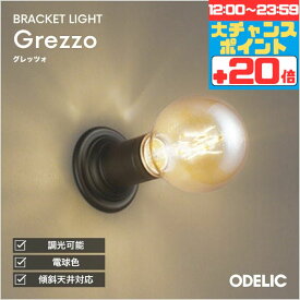 【マラソン中ポイント5倍!!】ブラケットライト 北欧 洋風 屋内用 天井面・傾斜面取付可 電球色(2400K) 調光可(別売調光器対応) ※工事必要壁付け 廊下 シック アンティーク レトロ 電球 球形 ブラック