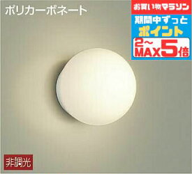 【超ポイントバック祭P10倍】ブラケットライト 洋風 屋内屋外兼用 天井面・傾斜面取付可 電球色(2700K) ※工事必要