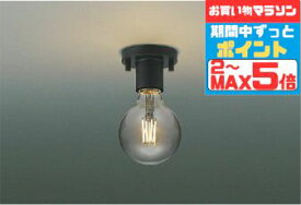 【スーパーSALEポイント10倍】ブラケットライト 洋風 屋内用 天井面・傾斜面取付可 白熱灯40W相当 電球色(2700K) ※工事必要