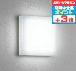 【マラソン中ポイント3倍】ブラケットライト バスルーム 洋風 屋内屋外兼用 防湿対応 一般浴室可 天井面・傾斜面取付可 昼白色(5000K) ※工事必要
