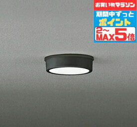 【超ポイントバック祭P10倍】シーリングライト 洋風 ※工事必要 屋内屋外兼用 エクステリア アウトドア 壁 廊下 階段 トイレ 玄関 外灯 防雨型 軒下専用 白熱灯60W相当 昼白色(5000K)