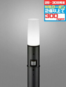 y29E30300~OFFN[|zK[fCg  R[htȂ n㍂700 m lZT[t M60W F(5000K) d