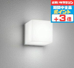 【マラソン中ポイント3倍】ブラケットライト 防水パッキンレス 洋風 屋内屋外兼用 天井取付可 昼白色(5000K) ※工事必要