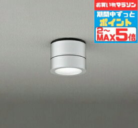 【スーパーSALEポイント10倍】ブラケットライト 洋風 屋内屋外兼用 天井面・傾斜面取付可 温白色(3500K) ※工事必要