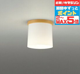 【超ポイントバック祭P10倍】シーリングライト 洋室・リビング・ダイニング 4.5畳以下・小型 ※工事必要 白熱灯60W相当 電球色(2700K)