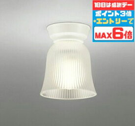 【超ポイントバック祭P10倍】シーリングライト 北欧 洋室・リビング・ダイニング 4.5畳以下・小型 ※工事必要 白熱灯100W相当 電球色(2700K)