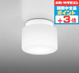【マラソン中ポイント3倍】ブラケットライト バスルーム 洋風 屋内屋外兼用 防湿対応 一般浴室可 天井面・傾斜面取付可 昼白色(5000K) ※工事必要