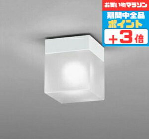 【マラソン中ポイント3倍】ブラケットライト バスルーム 洋風 屋内屋外兼用 防湿対応 一般浴室可 天井面・傾斜面取付可 昼白色(5000K) ※工事必要