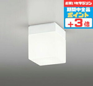 【マラソン中ポイント3倍】ブラケットライト バスルーム 洋風 屋内屋外兼用 防湿対応 一般浴室可 天井面・傾斜面取付可 電球色(2700K) ※工事必要
