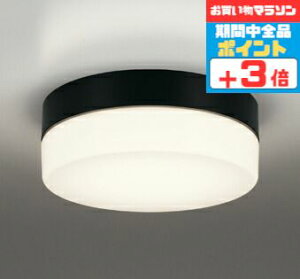 【マラソン中ポイント3倍】ブラケットライト 洋風 屋内屋外兼用 防湿対応 一般浴室可 天井面・傾斜面取付可 電球色(2700K) ※工事必要