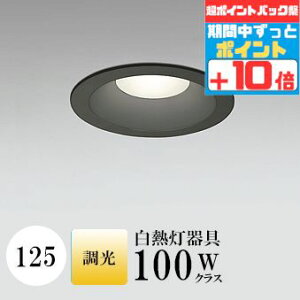 y|CgobNP10{z_ECg J125 dF(2700K) M100W ubN  ʔΉ HKv SB^(C fMޑΉ^) z103° gU |