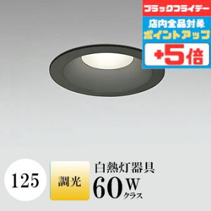 y18|Cg5{+Gg[ōő8{z_ECg J125 dF(2700K) M60W ubN  ʔΉ HKv SB^(C fMޑΉ^) z103° gU |