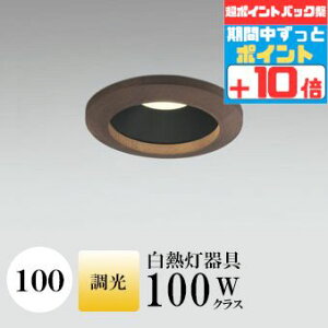 y|CgobNP10{z_ECg J100 dF(2700K) M100W ؘg uE  ʔΉ HKv SB^(C fMޑΉ^) z96° gU A~