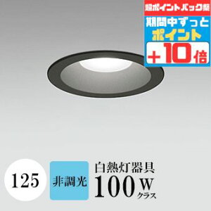 y|CgobNP10{z_ECg J125 F(5000K) M100W ubN HKv SB`(C fMޑΉ^) A~