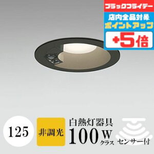 yubNtCf[|Cg5{z_ECg J125 dF(2700K) M100W ubN HKv SB`(C fMޑΉ^) A~_CJXg lZT[