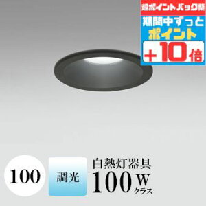 y|CgobNP10{z_ECg J100 F(5000K) M100W ubN  ʔΉ HKv SB^(C fMޑΉ^) z100° gU |