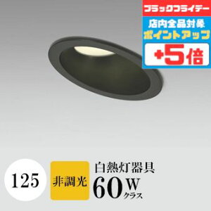 y18|Cg5{+Gg[ōő8{z_ECg J125 dF(2700K) M60W ubN HKv SB^(C fMޑΉ^) gU A~_CJXg