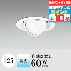 y|CgobNP10{z_ECg J125 F(5000K) M60W zCg  ʔΉ HKv SB^(C fMޑΉ^) z37° p A~_CJXg