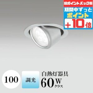 yX[p[SALE|Cg10{z_ECg J100 F(5000K) M60W Vo[ HKv SB`(C fMޑΉ^) (ZT[AΉPƃZT[ł͂܂) A~_C