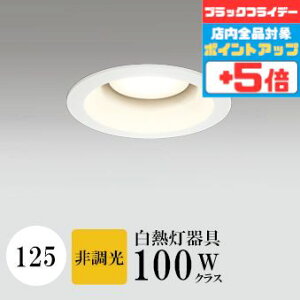 y18|Cg5{+Gg[ōő8{z_ECg J125 dF(2700K) M100W zCg HKv SB^(C fMޑΉ^) z16° gU tbg`LED