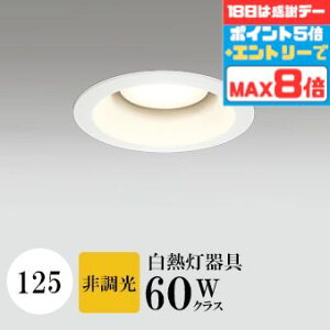 yӍՃ|Cg5{!!z_ECg J125 dF(2700K) M60W zCg HKv SB^(C fMޑΉ^) z16° gU tbg`LED