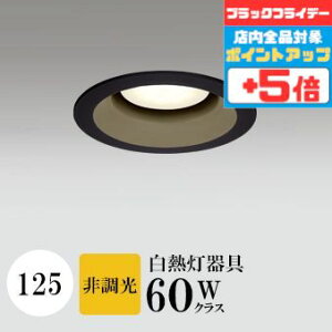 y18|Cg5{+Gg[ōő8{z_ECg J125 dF(2700K) M60W ubN HKv SB^(C fMޑΉ^) z16° gU tbg`LED