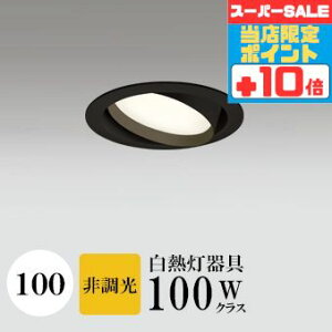 y320`|Cg20{Iz_ECg J100 dF(2700K) M100W ubN HKv SB^(C fMޑΉ^) z114° gU tbg`LED