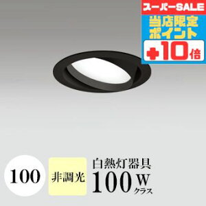 y320`|Cg20{Iz_ECg J100 F(3500K) M100W ubN HKv SB^(C fMޑΉ^) z114° gU tbg`LED