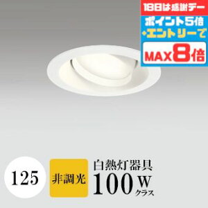 yӍՃ|Cg5{!!z_ECg J125 dF(2700K) M100W zCg HKv SB^(C fMޑΉ^) z114° gU tbg`LED