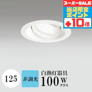 y320`|Cg20{Iz_ECg J125 F(5000K) M100W zCg HKv SB^(C fMޑΉ^) z114° gU tbg`LED