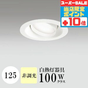 y320`|Cg20{Iz_ECg J125 F(3500K) M100W zCg HKv SB^(C fMޑΉ^) z114° gU tbg`LED