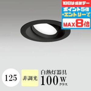 yӍՃ|Cg5{!!z_ECg J125 F(3500K) M100W ubN HKv SB^(C fMޑΉ^) z114° gU tbg`LED