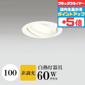 y18|Cg5{+Gg[ōő8{z_ECg J100 dF(2700K) M60W zCg HKv SB^(C fMޑΉ^) z114° gU tbg`LED