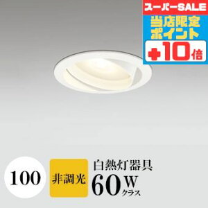 y320`|Cg20{Iz_ECg J100 dF(2700K) M60W ubN HKv SB^(C fMޑΉ^) z40° p tbg`LED