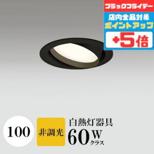 y18|Cg5{+Gg[ōő8{z_ECg J100 dF(2700K) M60W ubN HKv SB^(C fMޑΉ^) z16° gU tbg`LED