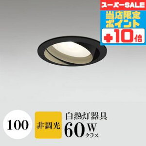 y320`|Cg20{Iz_ECg J100 dF(2700K) M60W ubN HKv SB^(C fMޑΉ^) z40° p tbg`LED