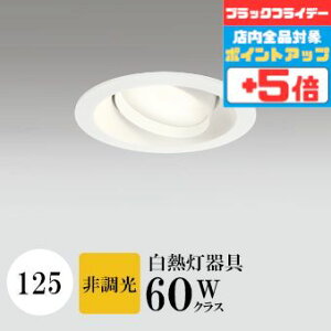 y18|Cg5{+Gg[ōő8{z_ECg J125 dF(2700K) M60W zCg HKv SB^(C fMޑΉ^) z114° gU tbg`LED