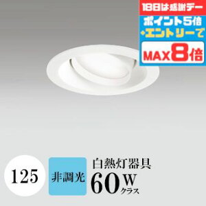 yӍՃ|Cg5{!!z_ECg J125 F(5000K) M60W zCg HKv SB^(C fMޑΉ^) z114° gU tbg`LED