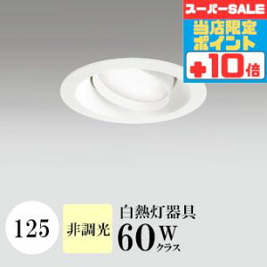 y320`|Cg20{Iz_ECg J125 F(3500K) M60W zCg HKv SB^(C fMޑΉ^) z114° gU tbg`LED