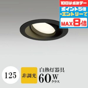 yӍՃ|Cg5{!!z_ECg J125 dF(2700K) M60W ubN HKv SB^(C fMޑΉ^) z114° gU tbg`LED