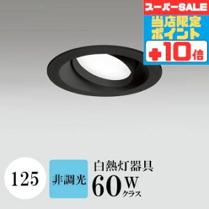 y320`|Cg20{Iz_ECg J125 F(5000K) M60W ubN HKv SB^(C fMޑΉ^) z114° gU tbg`LED